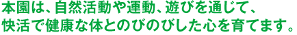 本園は、自然活動や運動、遊びを通じて、快活で健康な体とのびのびした心を育てます。